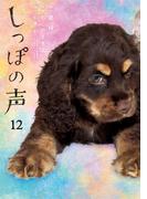 しっぽの声　12(ビッグコミックス)