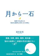 月から一石