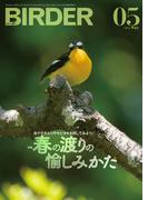 BIRDER2022年5月号