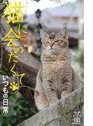 猫に会いたくて　いつもの日常(猫パンチ)