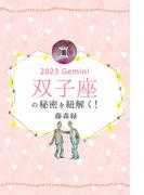 2023年の双子座の秘密を紐解く！