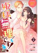 姫様、無理です！～今をときめく宰相補佐様と関係をもつなんて～（２）【電子限定描き下ろしカラーイラスト付き】(ＺＥＲＯ-ＳＵＭコミックス)