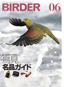 BIRDER2022年6月号