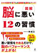 図解　脳に悪い12の習慣(幻冬舎単行本)