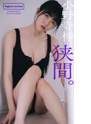 【デジタル限定】小野寺梓写真集「狭間。」(週プレ PHOTO BOOK)