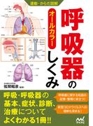 運動・からだ図解 呼吸器のしくみ