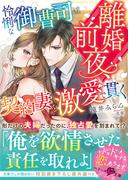 離婚前夜、怜悧な御曹司は契約妻を激愛で貫く(ベリーズ文庫)