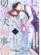トツキトオカの切愛夫婦事情～最後の一夜のはずが、愛の証を身ごもりました～2巻(Berry's COMICS)