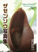 ザゼンソウ写真集