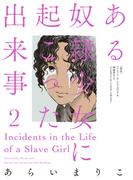 ある奴隷少女に起こった出来事 ： 2(アクションコミックス)