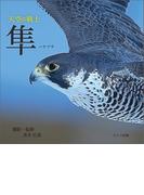 天空の戦士　隼