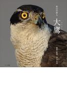 里山の狩人　大鷹