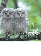 日本の梟