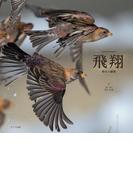 飛翔　野生の瞬間