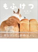 もふけつ　コーギーのおしり