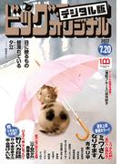 ビッグコミックオリジナル　2022年14号（2022年7月5日発売)
