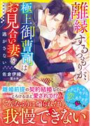離縁するつもりが、極上御曹司はお見合い妻を逃がさない(ベリーズ文庫)