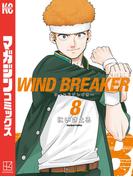 ＷＩＮＤ　ＢＲＥＡＫＥＲ（８）