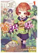 贅沢三昧したいのです！　～貧乏領地の魔法改革 悪役令嬢なんてなりません！～１【電子書店共通特典イラスト付】(EARTH STAR COMICS(アーススターコミックス))