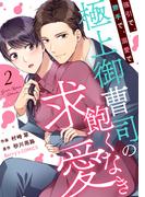 強引で、勝手で、溺愛で～極上御曹司の飽くなき求愛～2巻(Berry's COMICS)
