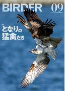 BIRDER2022年9月号