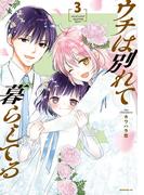 ウチは別れて暮らしてる（３）