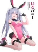 いろバニー(GRAPHICTION BOOKS)