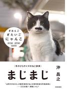 ぎおんご ぎたいご にゃんこ