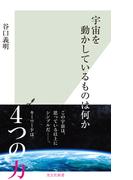 宇宙を動かしているものは何か(光文社新書)
