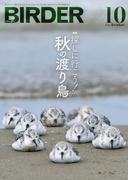 BIRDER2022年10月号