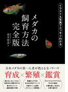 メダカの飼育方法 完全版