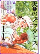 【11-15セット】天のプラタナス
