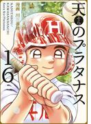 【16-20セット】天のプラタナス