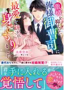 激情を抑えない俺様御曹司に、最愛を注がれ身ごもりました(ベリーズ文庫)