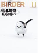 BIRDER2022年11月号