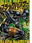 ブラックパンサー：黒豹を継ぐ者