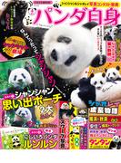 パンダ自身　4頭め