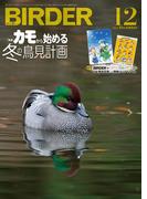 BIRDER2022年12月号