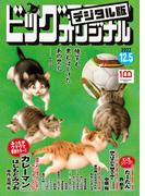 ビッグコミックオリジナル　2022年23号（2022年11月18日発売)
