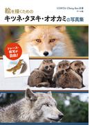 絵を描くためのキツネ・タヌキ・オオカミの写真集 トレース・模写が自由！