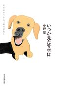 いつか見た青空は