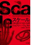 【全1-2セット】スケール