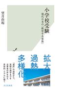 小学校受験～現代日本の「教育する家族」～(光文社新書)