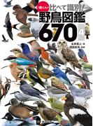 鳥くんの比べて識別！野鳥図鑑６７０ 第４版