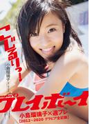 小島瑠璃子×週プレ【2012～2020グラビア全記録】(週プレ PHOTO BOOK)
