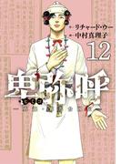 卑弥呼　－真説・邪馬台国伝－ 12(ビッグコミックス)