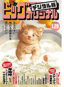 ビッグコミックオリジナル　2023年2号（2023年1月4日発売)