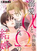 溺愛αと野良Ωの結婚合冊版3(BL宣言)