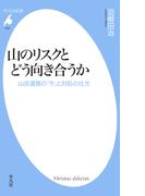山のリスクとどう向き合うか(平凡社新書)