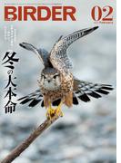 BIRDER2023年2月号